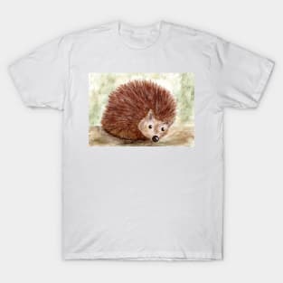 Hedgehog "Schnufflechen" T-Shirt